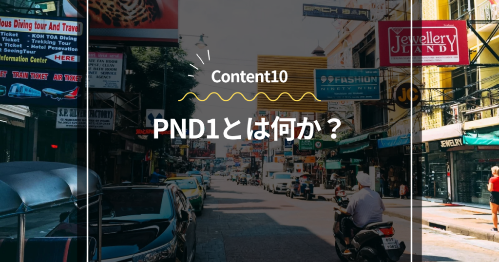 Content10
PND1とは何か？