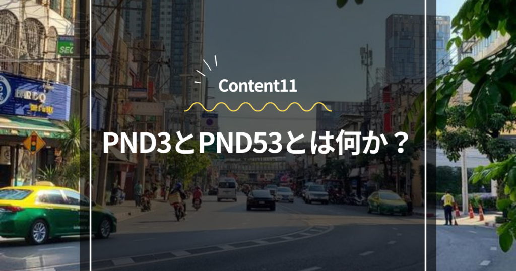 Content11
PND3とPND53とは何か？